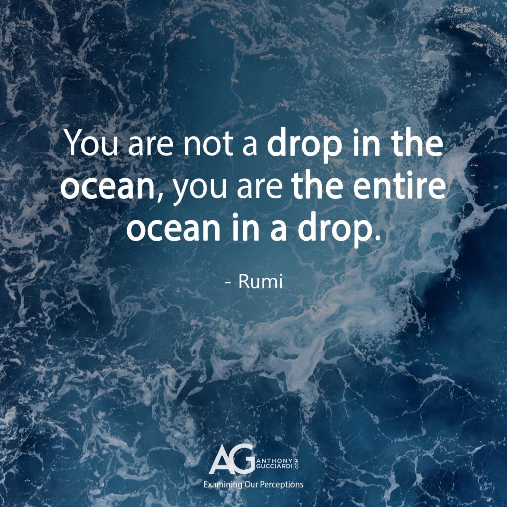 Rumi you are not a drop in the ocean, you are the entire ocean in a drop.